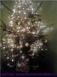 4aa97b6a-2012-12-26 21.12.48.jpg